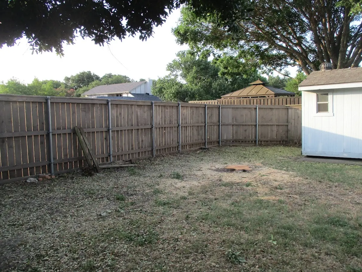 Cleared yard after professional tree removal in Chatsworth